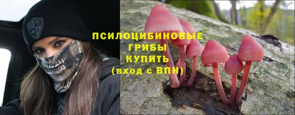 бошки Богородск
